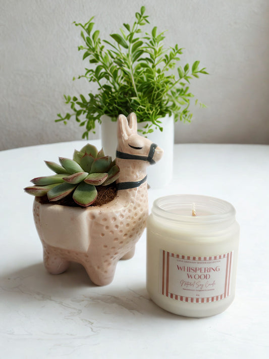 Whispering Wood 80g Scented Soy Candle
